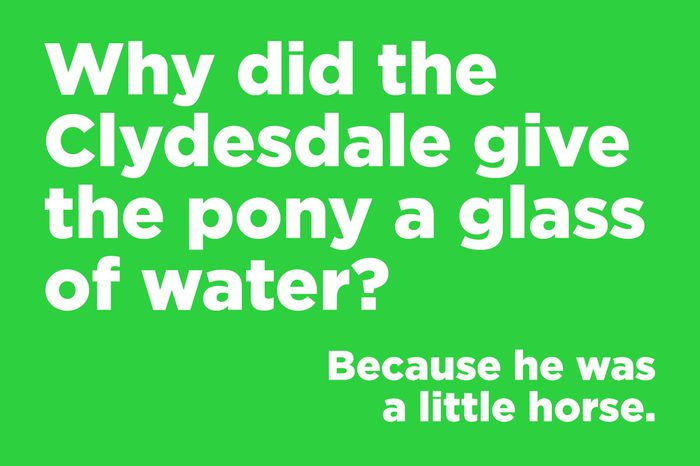 clydesdale
