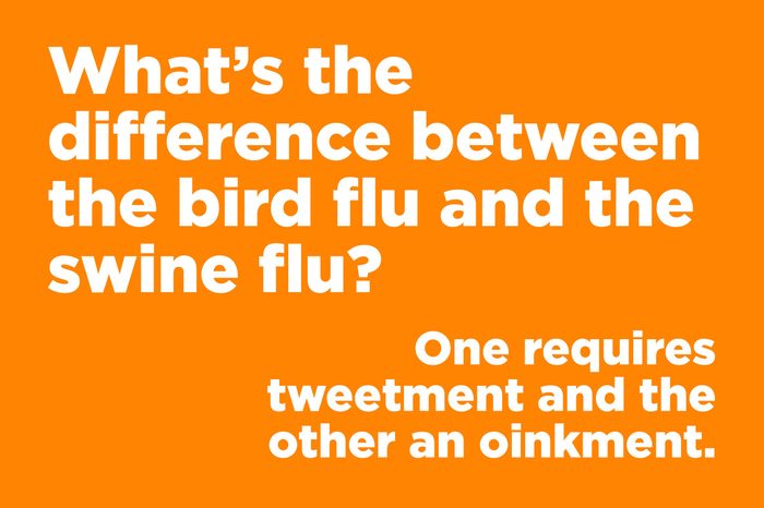 bird flu swine flu