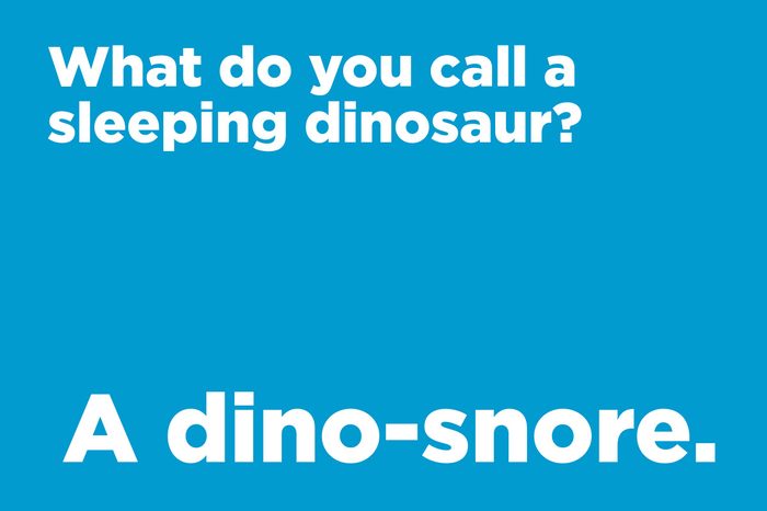 sleeping dinosaur