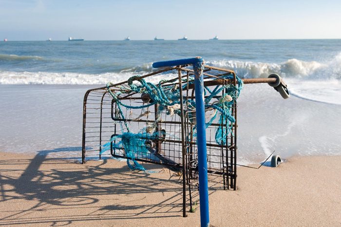 Shopping trolley on an Aberdeen Beach, Scotland, Britain