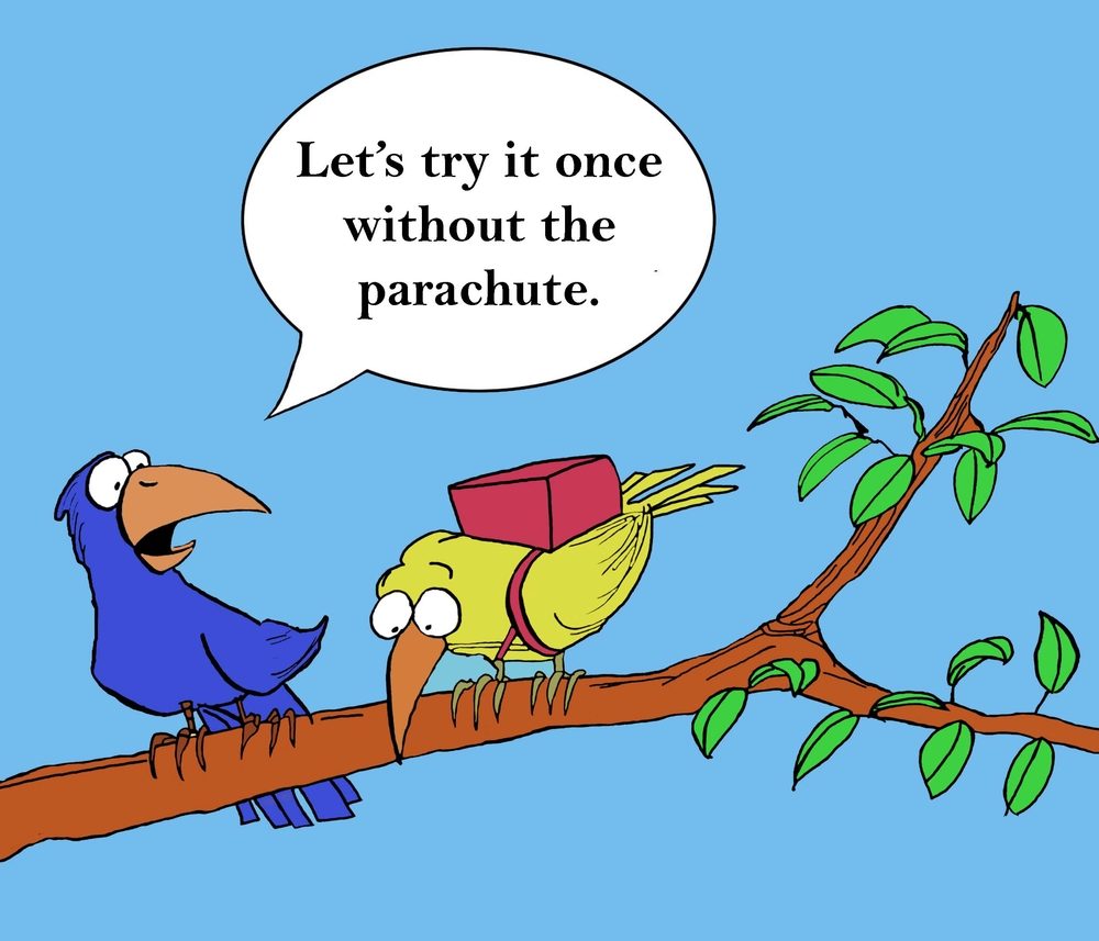 Two cartoon birds perched on branch, one with a backpack says, "Letâ€™s try it once without the parachute." Background is a clear blue sky.