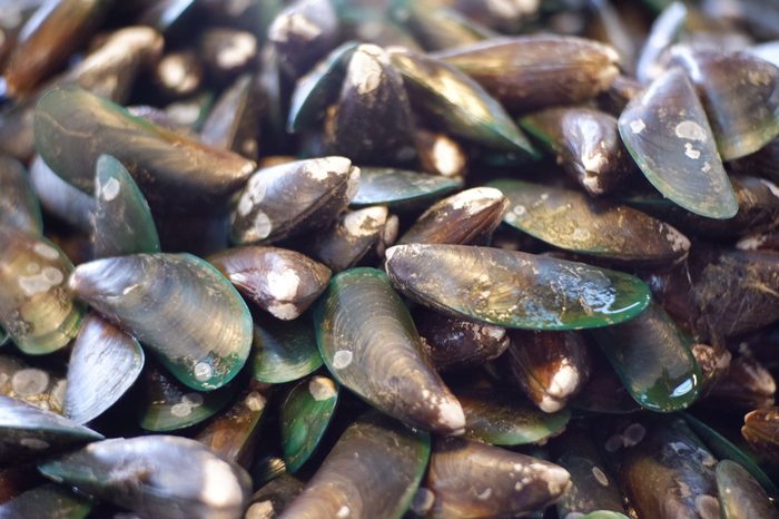 more fresh shellfish seafood
