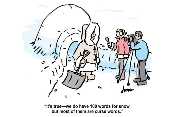 16 Travel Cartoons That Find the Funny in Everything
