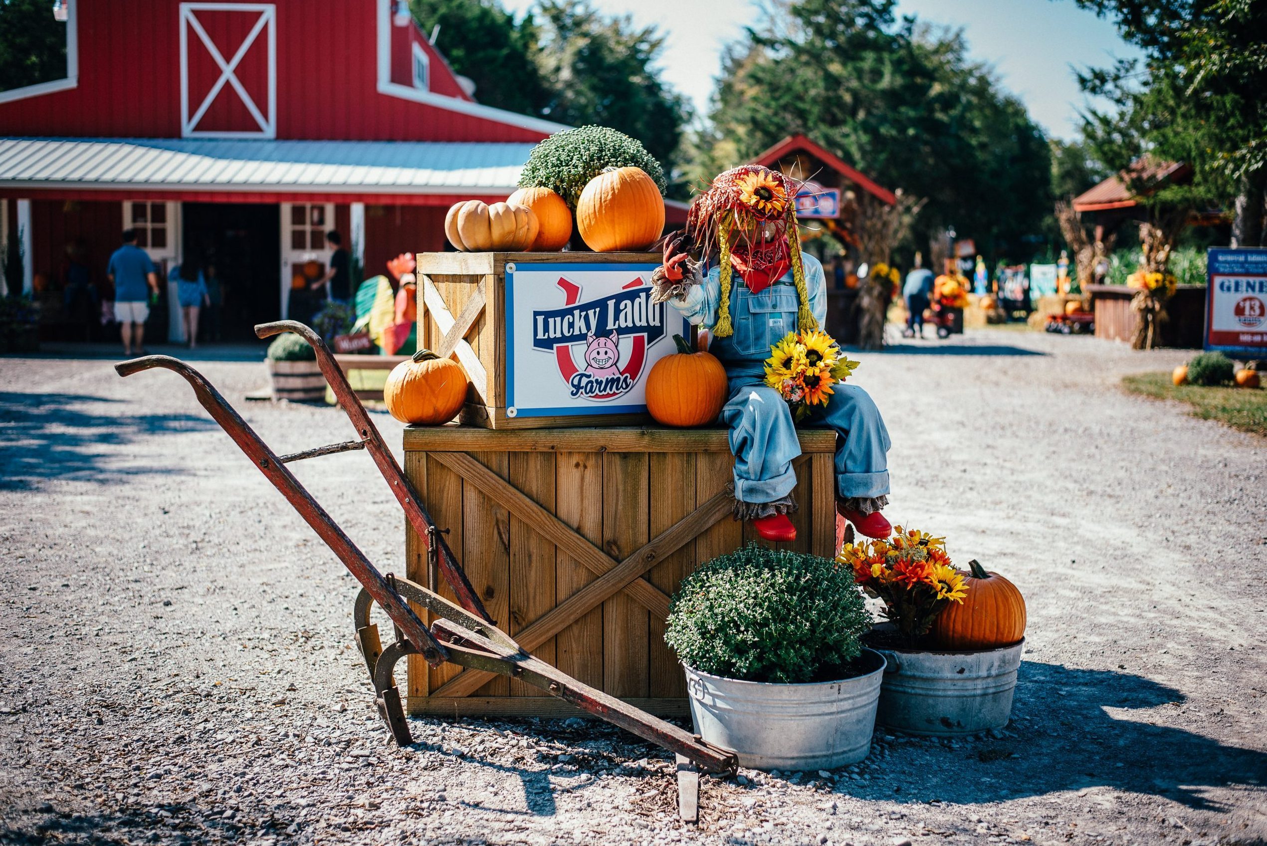 Lucky Ladd farms