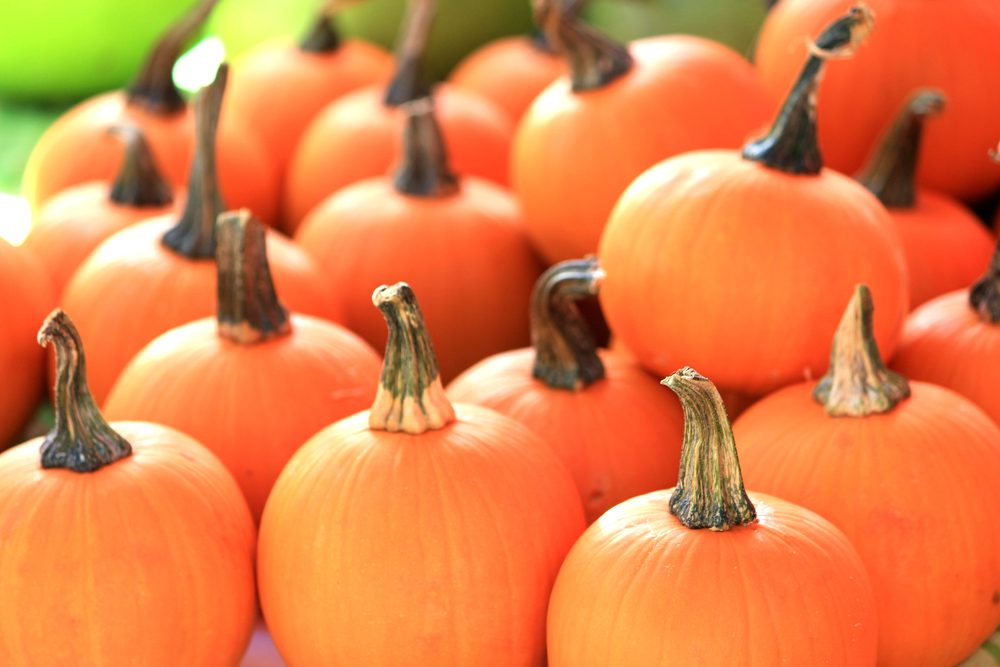 Hawaiian pumpkin