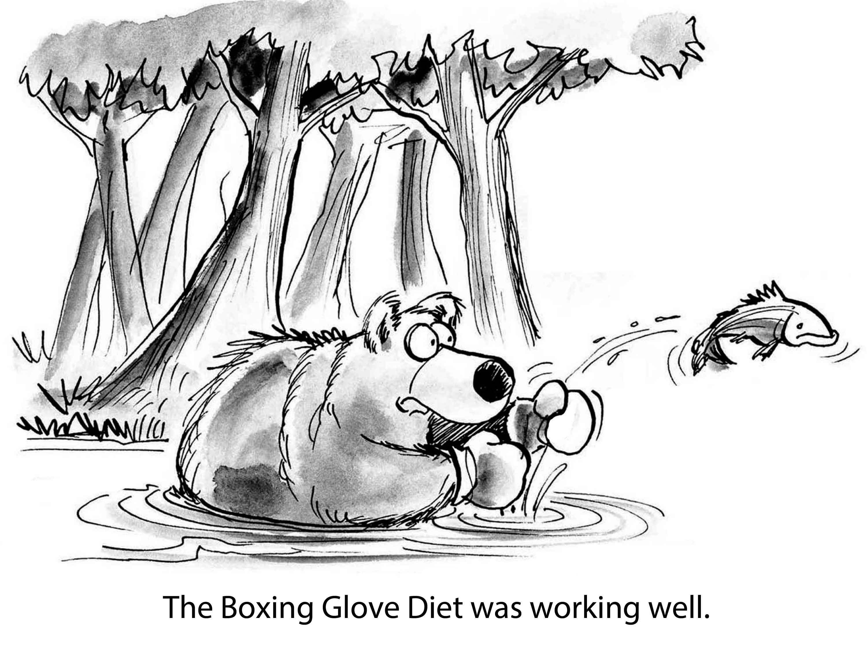 Bear wearing boxing gloves splashes in water as a fish jumps; surrounded by trees. Text reads, "The Boxing Glove Diet was working well."
