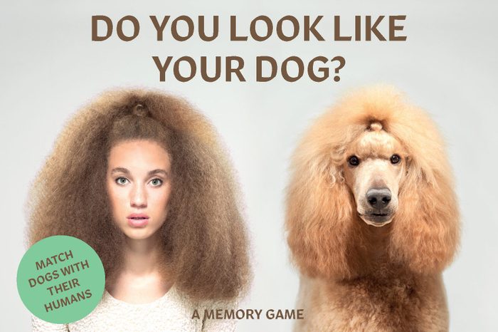 Do you look like your dog?