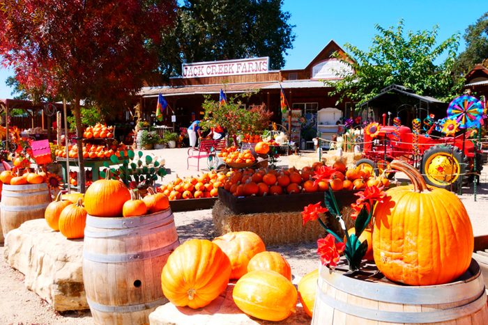 Templeton CA