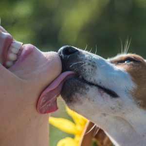 Dog licks person's chin, both appearing happy. Background is blurred greenery, suggesting an outdoor setting.