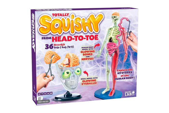 Squishy head to toe