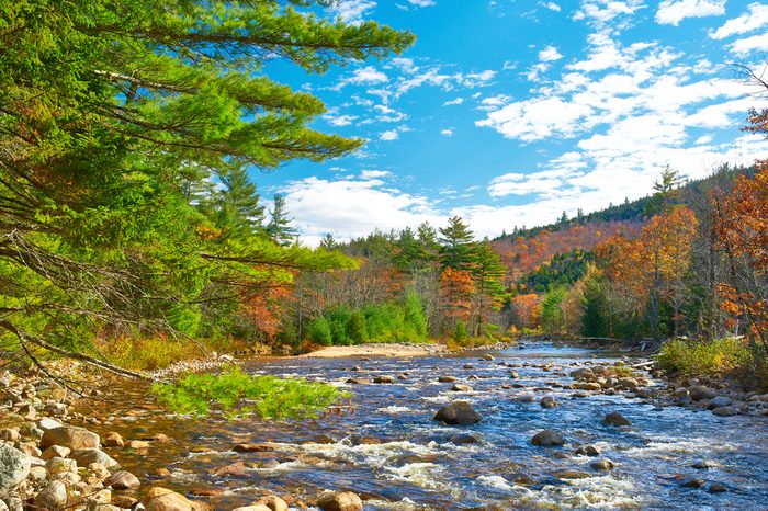 Swift River at autumn in White Mountain National Forest, New Hampshire, USA.