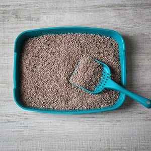 A blue litter box filled with brown granules contains a matching scoop resting inside, on a textured wooden surface.