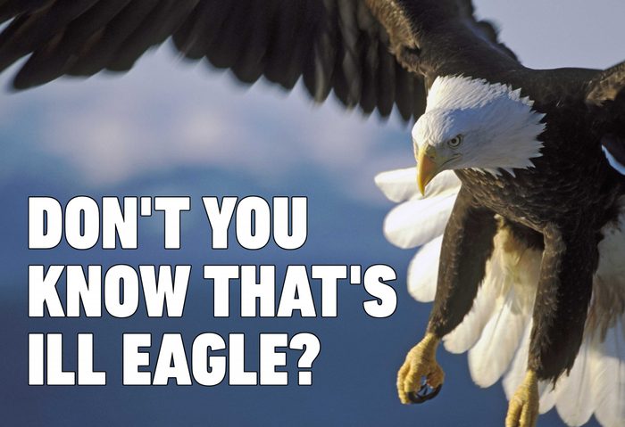 eagle