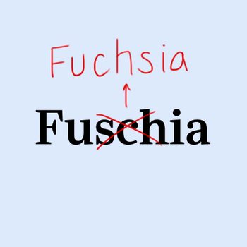 Incorrect "Fuschia" is crossed out, corrected with an arrow pointing to "Fuchsia" in red text, on a light blue background.