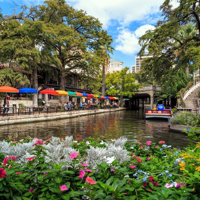 A vibrant boat cruises a tree-lined canal, colorful cafe tables under umbrellas sit alongside, with blooming flowers in the foreground.