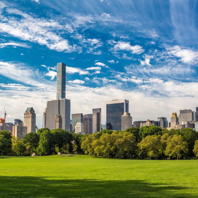 Skyscrapers line the skyline, towering above lush green trees and a vast grassy field under a bright blue, cloud-streaked sky.