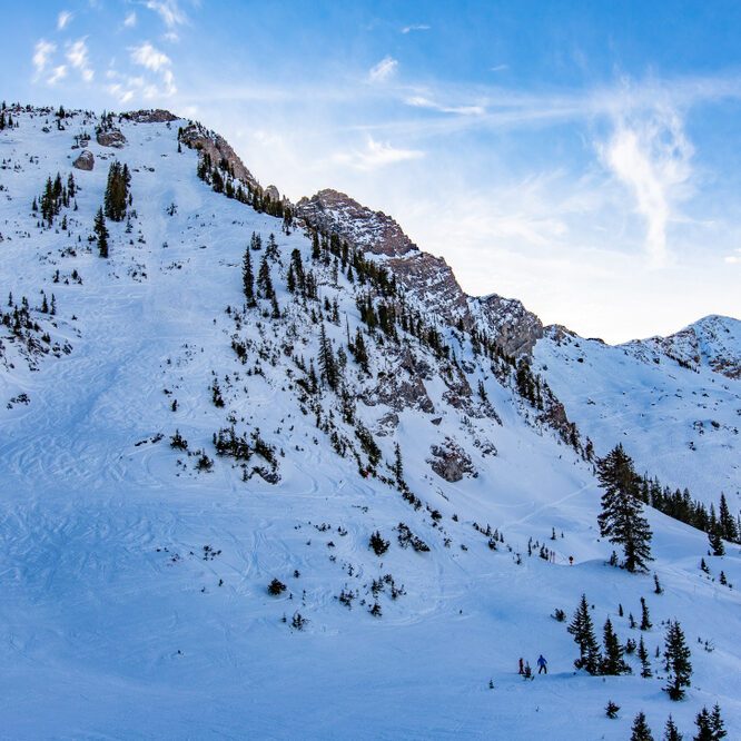 Snow-covered mountain slopes stand still, dotted with tall evergreen trees, under a clear blue sky with wispy clouds.