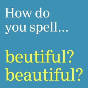 Text displays a spelling pun: 
