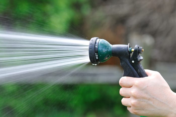 watering