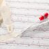 13 Mysteries Finally Solved by Forensics