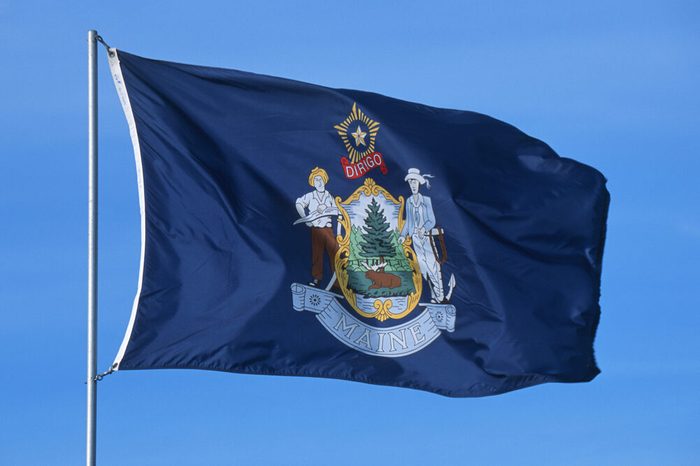 State Flag of Maine