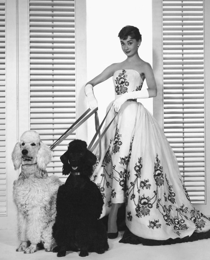 Sabrina - 1954
