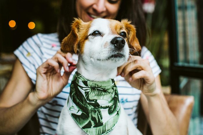 Young beautiful woman having great time with her little sweet dog in a restaurant after their meal. Lifestyle and friendship concept.