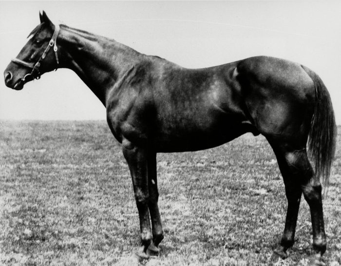 SIR BARTON 1919 DERBY WINNER, USA