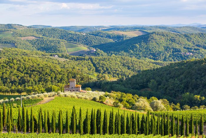 Siena province, Italy - August 6, 2016: Vineyards of the Castello di Albola estate in the Chianti region.
