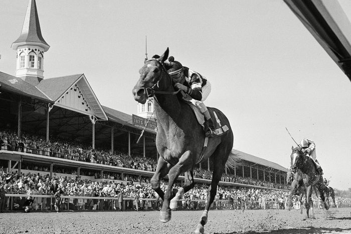 Spectacular Bid Kentucky Derby '79, Louisville, USA