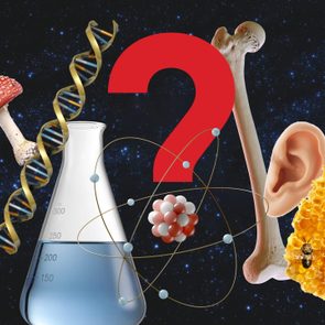 Red question mark surrounded by mushroom, DNA helix, flask, atom, bone, ear, and honeycomb with bees, set against a starry background.