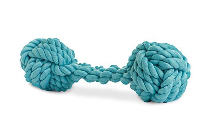 9_Flossing-made-fun
