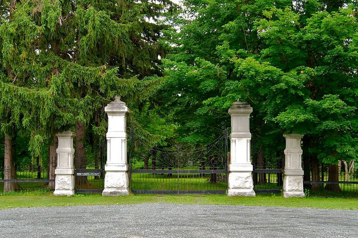 Haunted Forest Park