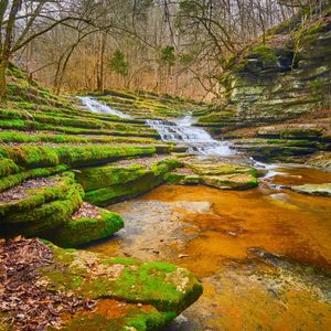 Water cascades over tiered, moss-covered rock formations surrounded by a wooded landscape with scattered trees and fallen leaves.