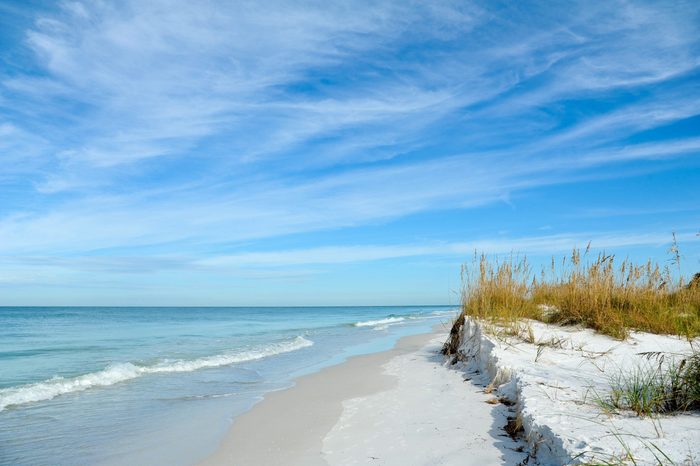 Beautiful Sand Dunes and Sea Oats on the Coastline of Anna Maria Island, Florida
