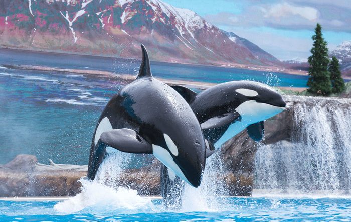 seaworld