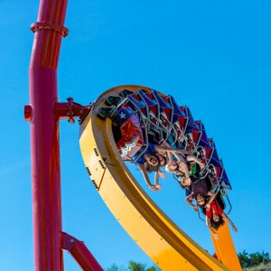 Roller coaster rotates vertically, passengers scream excitedly, vibrant blue sky above, colorful seats, theme park atmosphere.