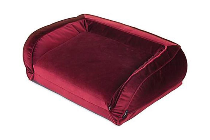 dog bed