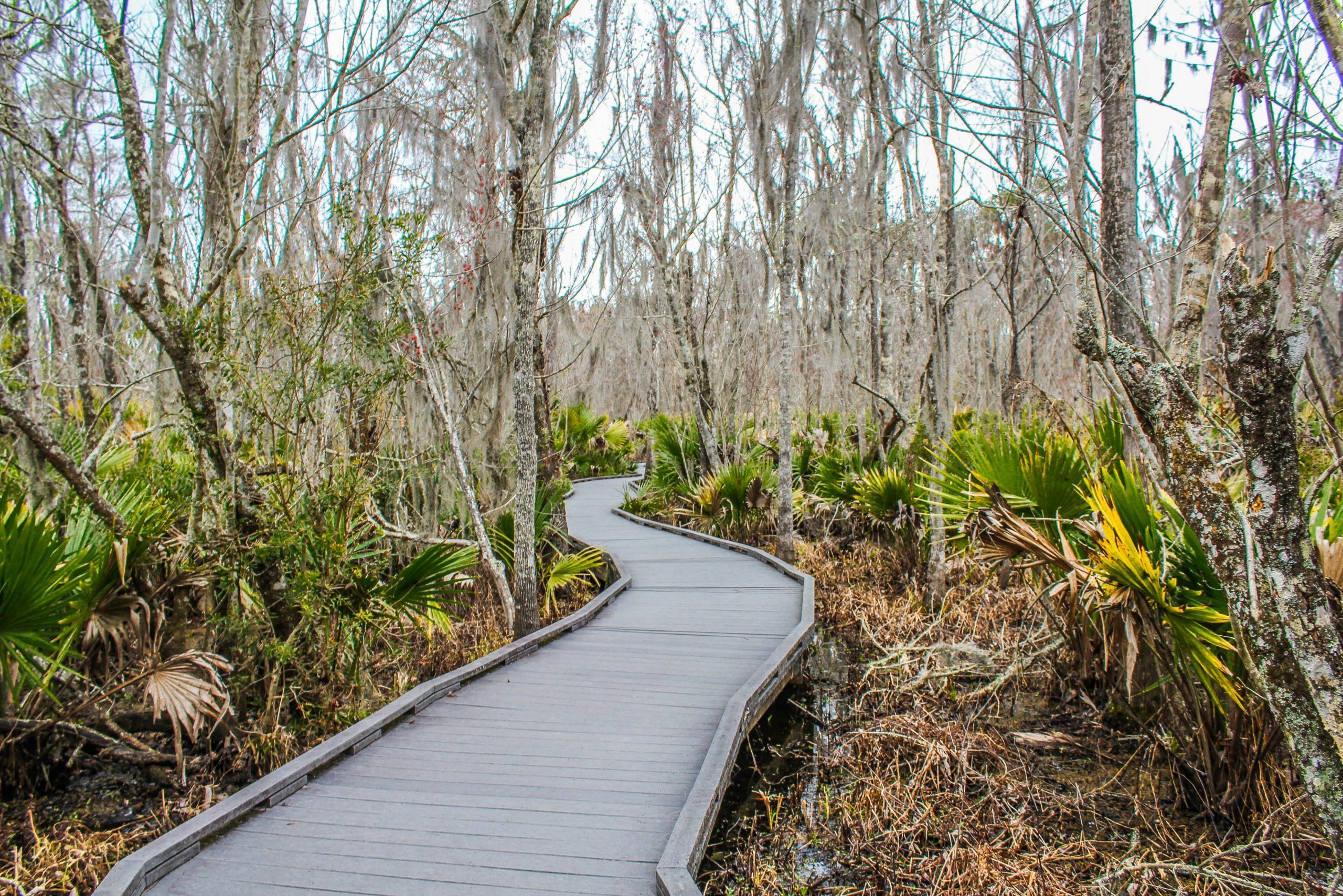 Barataria Preserve - Jean Lafitte National Historical Park