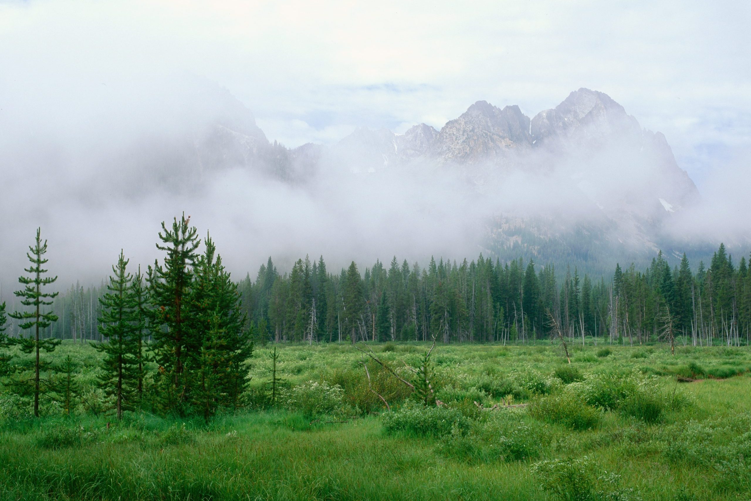 Rising mist along the Fishhook Creek Trail, Sawtooth Range, Idaho