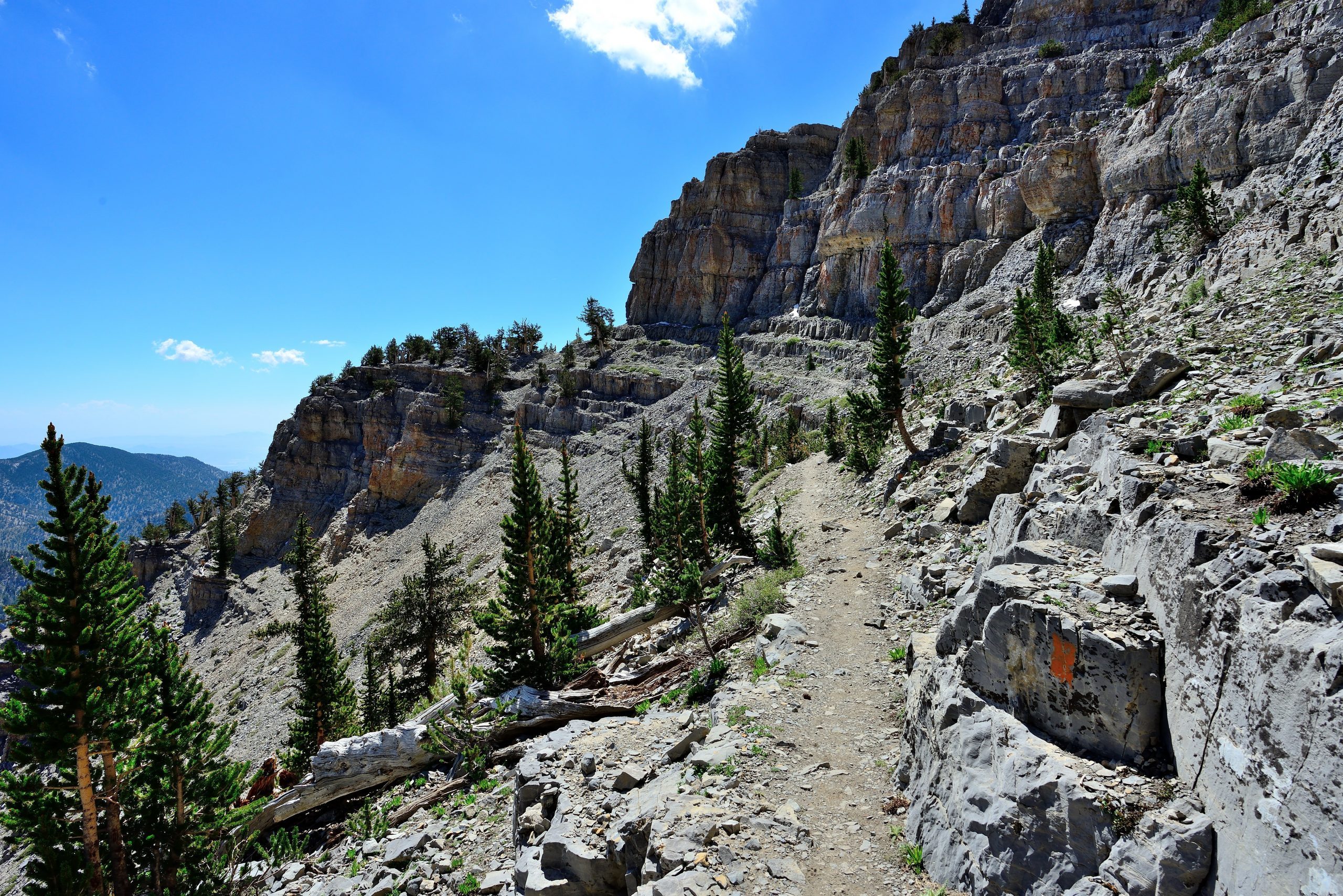 A narrow section of North Loop Trail leads to the summit of Mount Charleston in Spring Mountains National Recreation Area near Las Vegas, Nevada