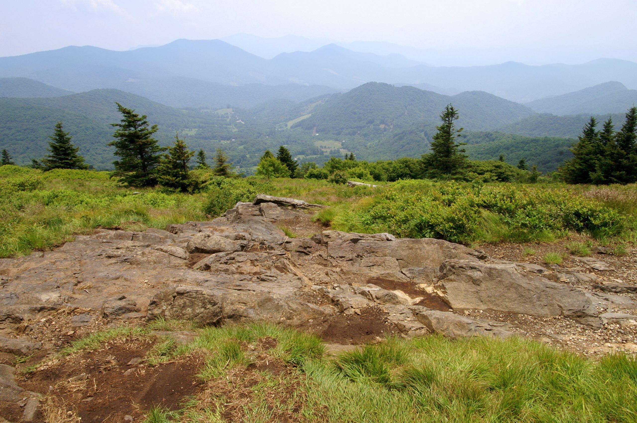 Summertime View from Roan Mountain Balds Horizontal