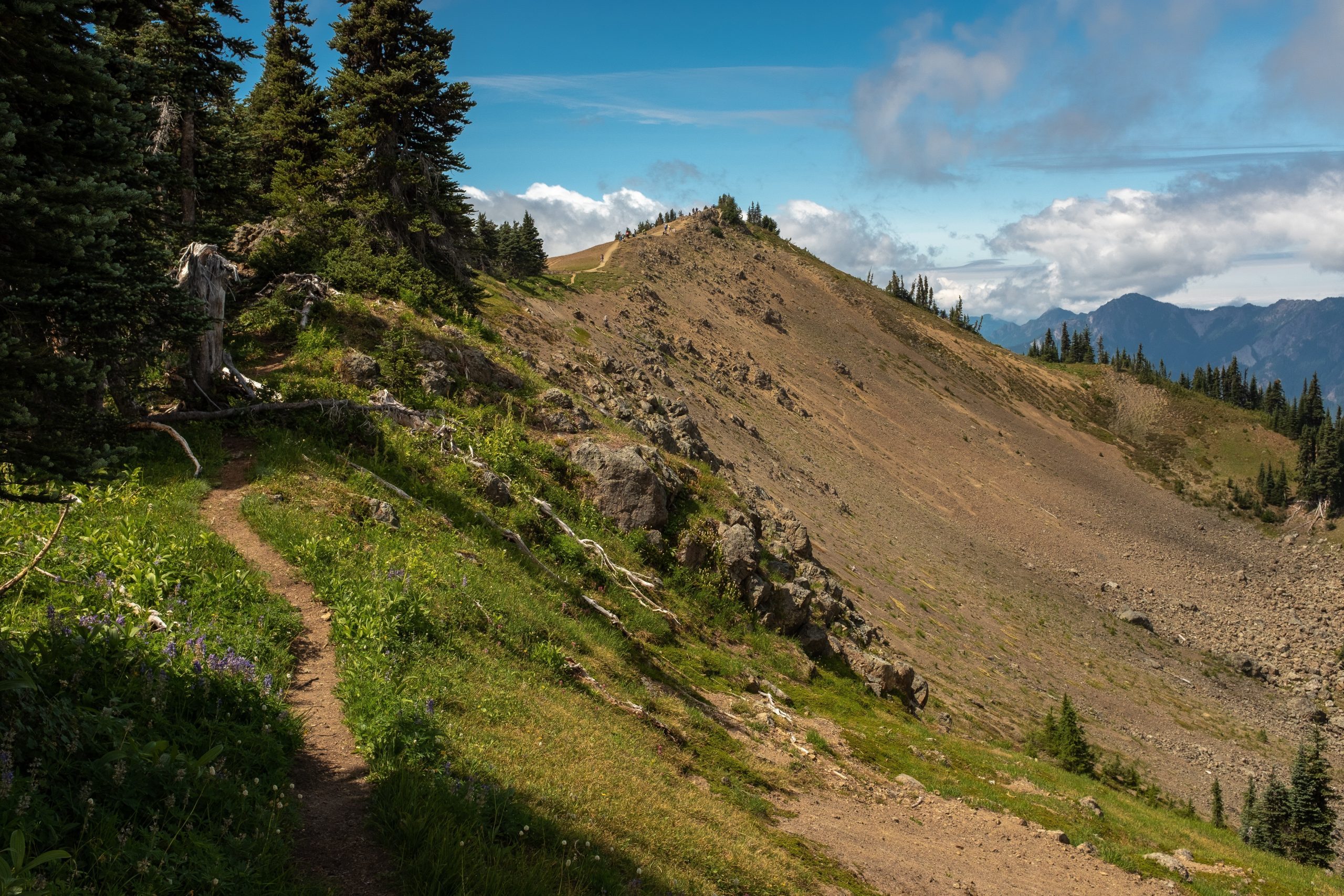 Walking along a narrow stretch of the Hurricane Hill Trail, Olympic National Park, Washington, USA