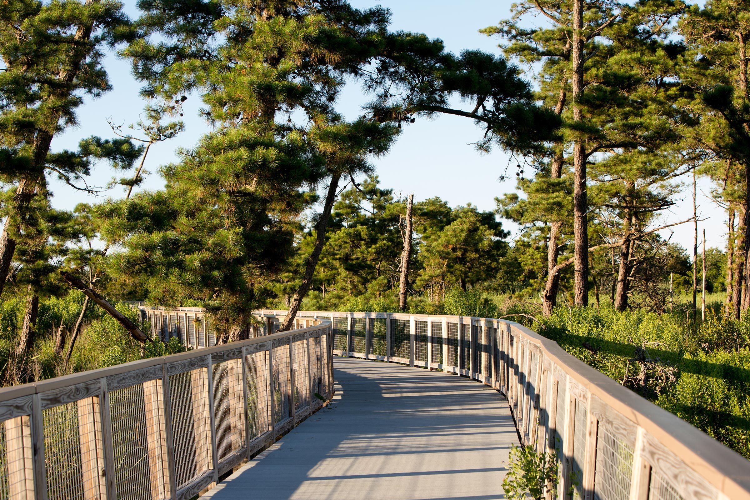 Walkway through Delaware Junction and Breakwater Trail