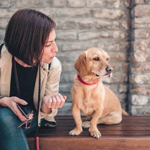 A woman, sitting on a bench, gestures while speaking to a dog wearing a red collar against a brick wall backdrop.