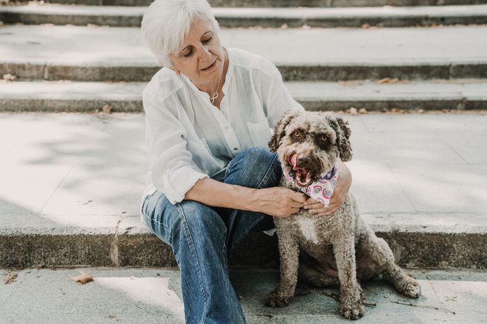 Sweet middle-aged woman playing with her nice brown spanish waterdog on a sunny summer day in a central park in madrid. Lifestyle.