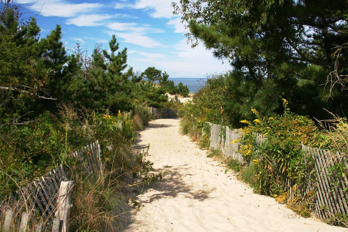 Cape Henlopen State Park ,Delaware