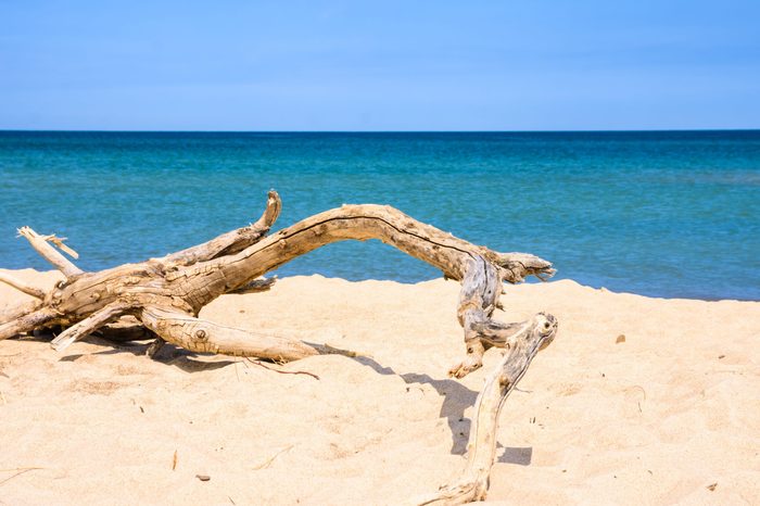 Clear blue sky With cloud and sea at Indiana Dunes State Park