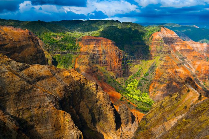 Overlooking Waimea Canyon State Park on the island of Kauai, Hawaii, USA, nicknamed the Grand Canyon of the Pacific.