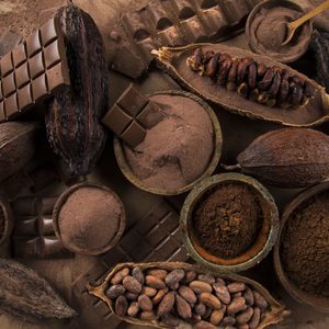 Chocolate bars lay among cacao pods, cacao beans, and powdered cocoa in bowls on a dusty brown background.